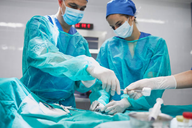 Cirurgia para Retirada de Tumor em Gatos Sete Saltos - Cirurgia de Castração de Cachorro Centro de Ponta Grossa