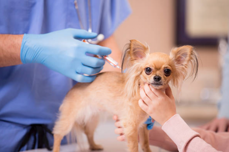 Clínica Especialista em Vacina de Filhote de Cachorro Sete Saltos - Vacina em Cachorro