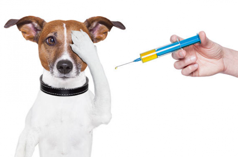 Clínica Especialista em Vacina de Raiva Cachorro Santa Cruz - Vacina contra Leishmaniose Canina