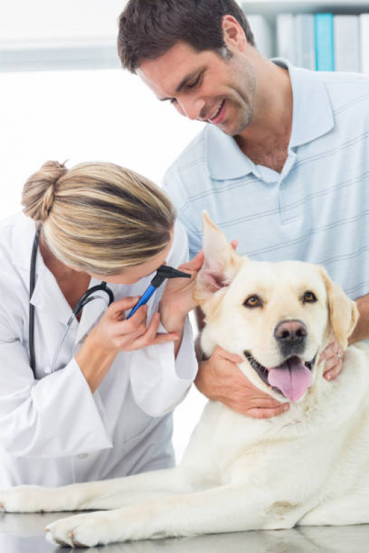 Clínica Veterinária de Cães e Gatos Telefone Santa Cruz - Clínica Veterinária Leva e Traz