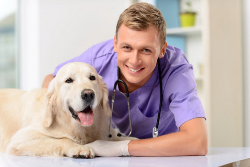 Clínica Veterinária Especializada em Cardiologia Biscaia - Clínica Veterinária para Cães