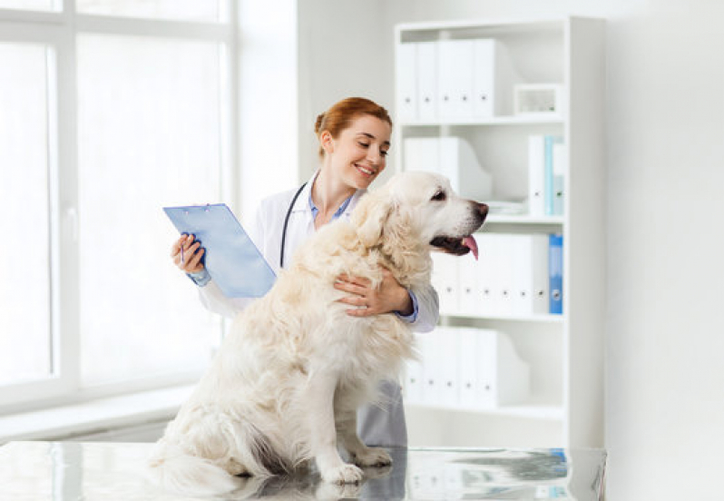 Clínica Veterinária Especializada em Nutrição Telefone Telêmaco Borba - Clínica Veterinária para Cães