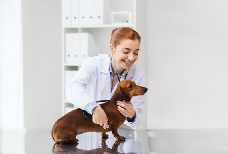 Clínica Veterinária Oftalmologia Telefone Ponta Grossa - Clínica Veterinária para Cães e Gatos