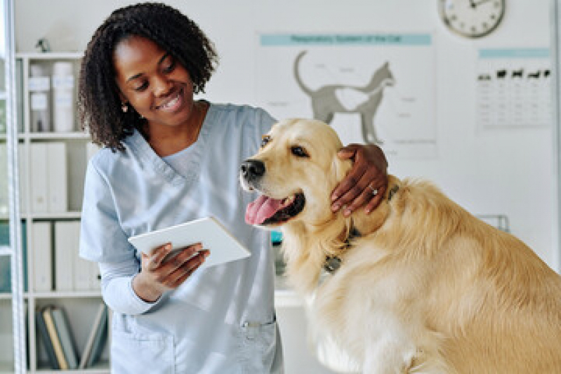 Clínica Veterinária para Cães e Gatos Telefone Olarias - Clínica Veterinária Especializada em Nutrição
