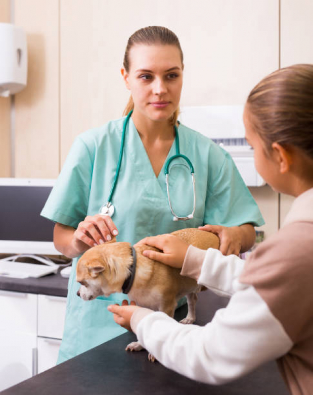 Consulta Veterinária Cachorro Marcar Pugas de Cima - Consulta para Animais