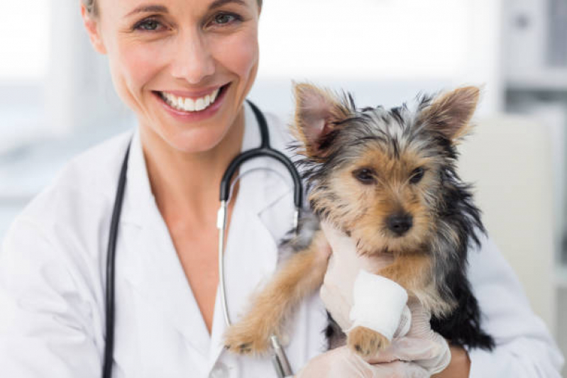 Consulta Veterinária para Cachorro Marcar Telêmaco Borba - Consulta para Cachorro