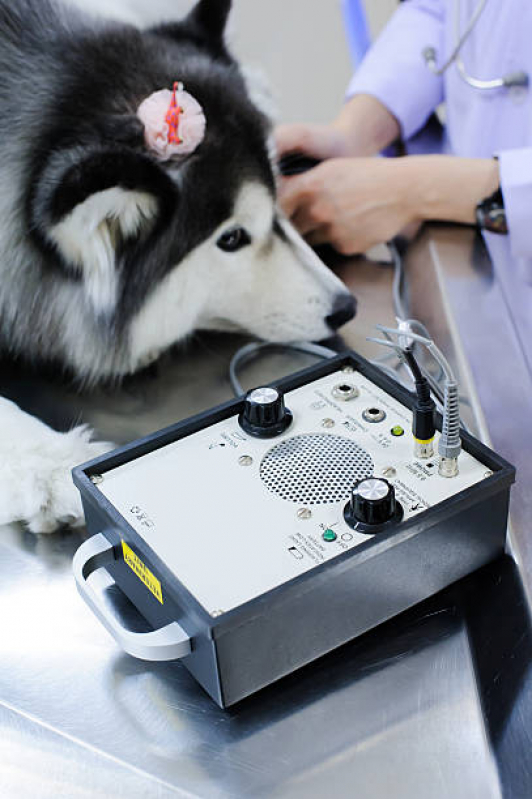 Consulta Veterinária para Cachorros Agendar Passo do Pupo - Consulta para Cachorro
