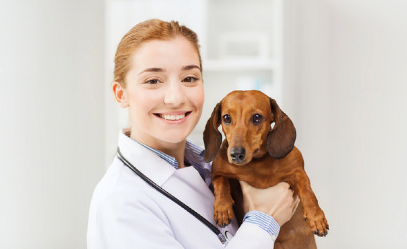 Contato de Clínica Veterinária 24hs Cara-cara - Clínica de Cachorros 24 Horas