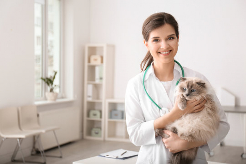 Dermatologista para Animais Proxímo de Mim Colônia - Dermatologista para Gato