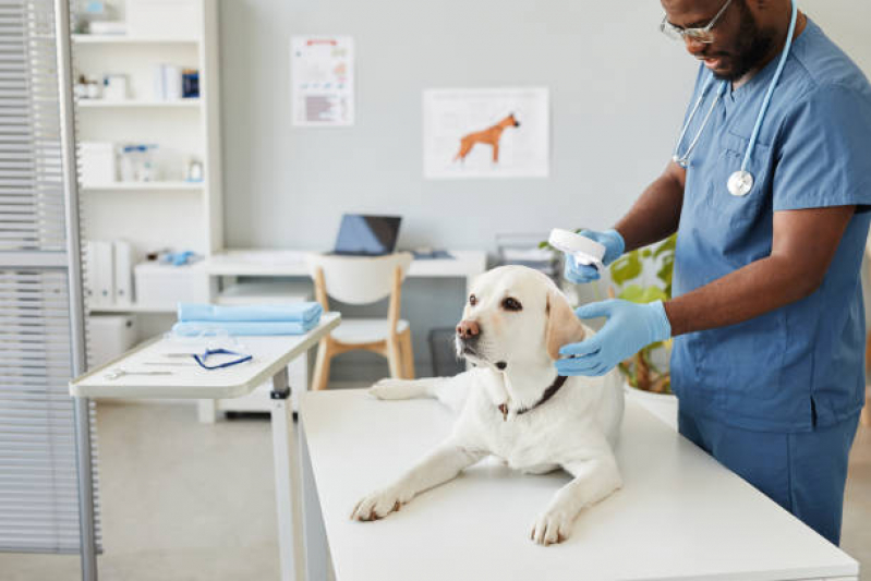 Endereço de Clínica Veterinária Mais Próximo de Mim Telêmaco Borba - Clínica Veterinária de Cães e Gatos