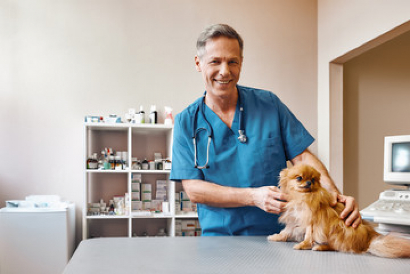 Endereço de Clínica Veterinária para Cães e Gatos Santa Cruz - Clínica Veterinária para Cães Idosos