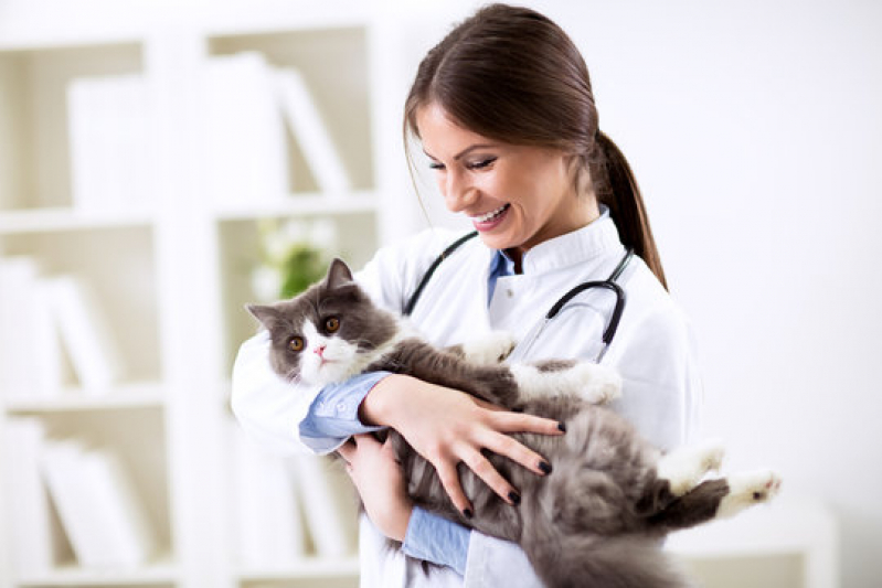 Endereço de Clínica Veterinária para Ortopedia Bocaina - Clínica Veterinária para Cães e Gatos