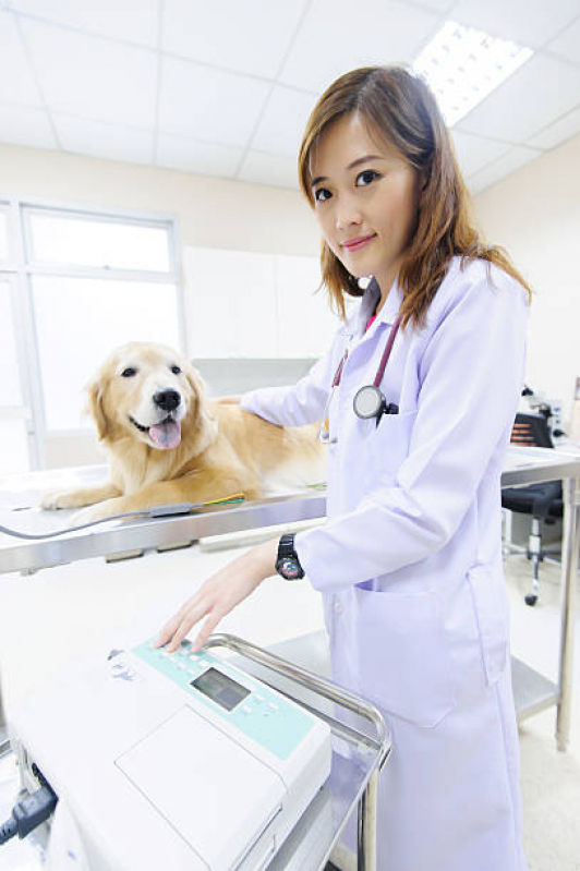 Onde Agendar Consulta Veterinária Passo do Pupo - Consulta para Animais
