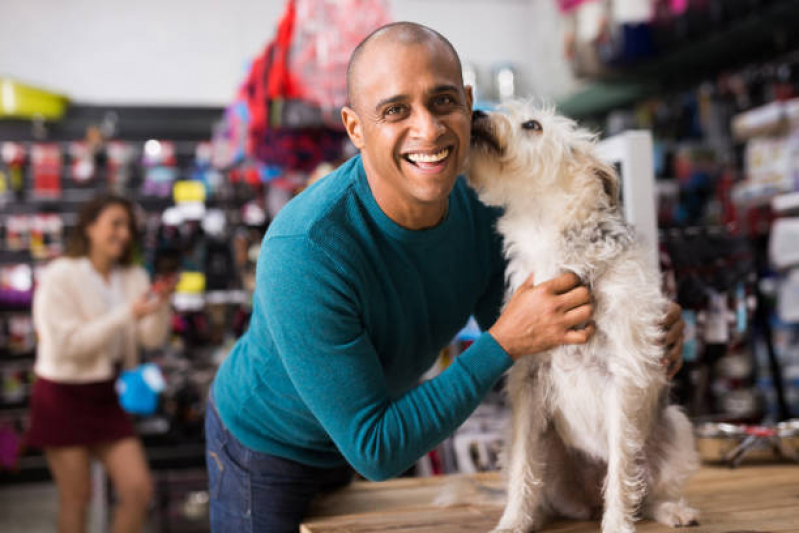 Onde Encontrar Pet Shop Banho Sete Saltos - Pet Shop Banho e Tosa Centro de Ponta Grossa