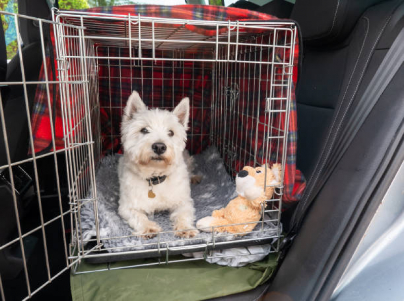 Onde Encontrar Pet Shop com Uberpet Colonia Dona Luzia - Pet Shop Próximo