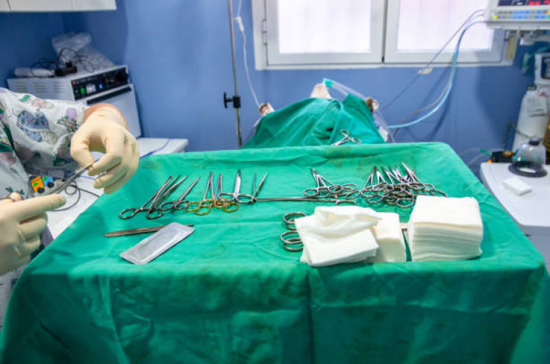 Onde Fazer Cirurgia para Cachorro Guarauninha - Cirurgia de Castração de Cachorro