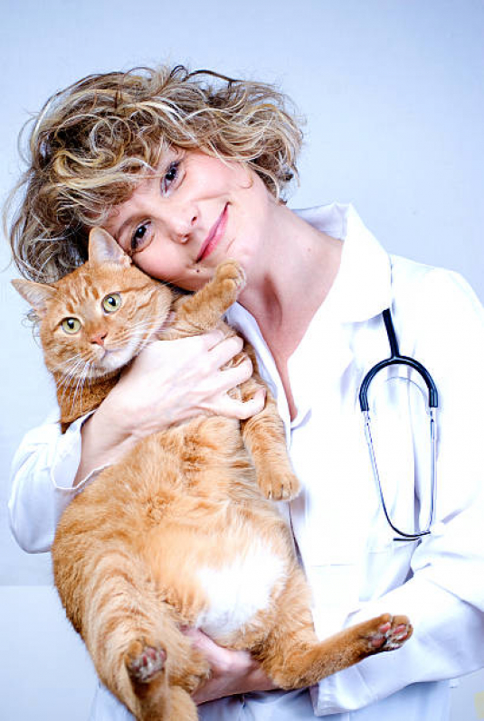 Onde Marcar Consulta Veterinária de Gatos Santa Cruz - Consulta para Animais
