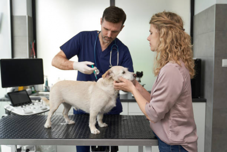 Onde Marcar Consulta Veterinária para Animais de Estimação Contorno - Consulta Veterinária Dermatológica para Cachorro