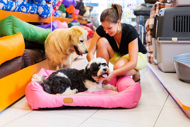 Pet Shop Banho Contato Ponta Grossa - Pet Shop com Uberpet