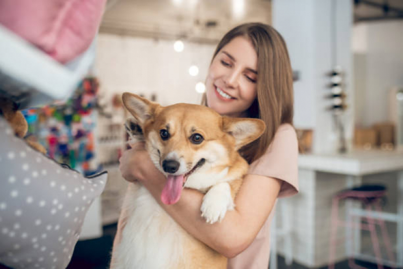 Pet Shop Banho e Tosa Contato Três Pontões - Pet Shop Banho