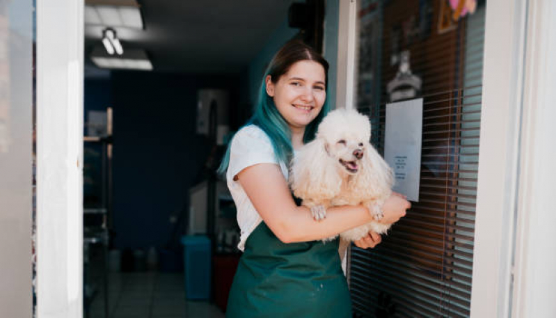 Pet Shop Banho e Tosa Ponta Grossa - Pet Shop com Uberpet