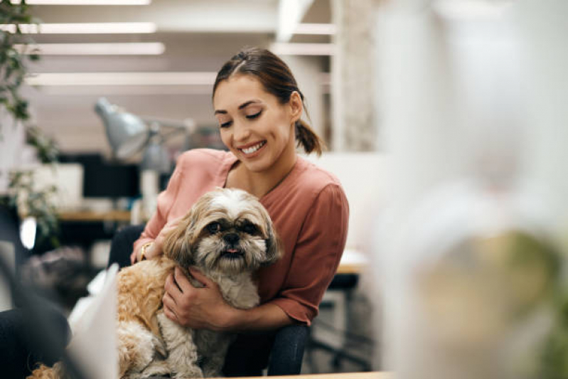 Pet Shop Cães e Gatos Contato Cara-cara - Pet Shop Banho e Tosa Ponta Grossa