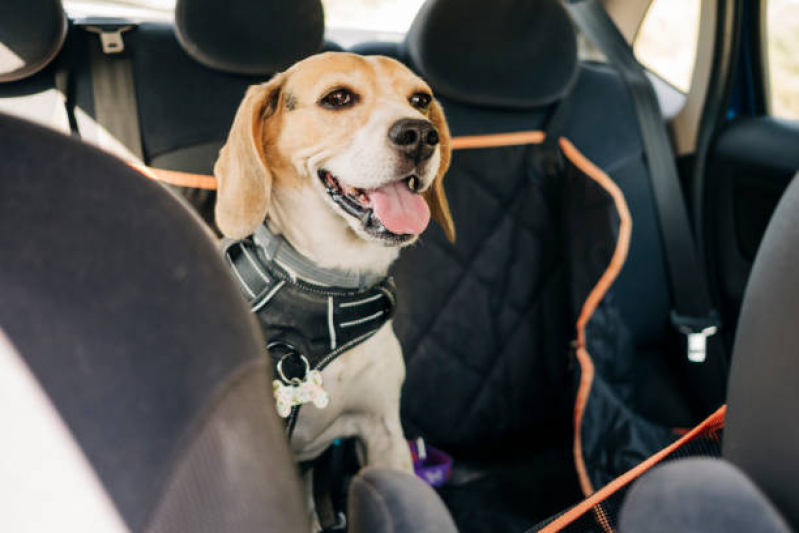 Pet Shop com Uberpet Florestal - Pet Shop Cães e Gatos