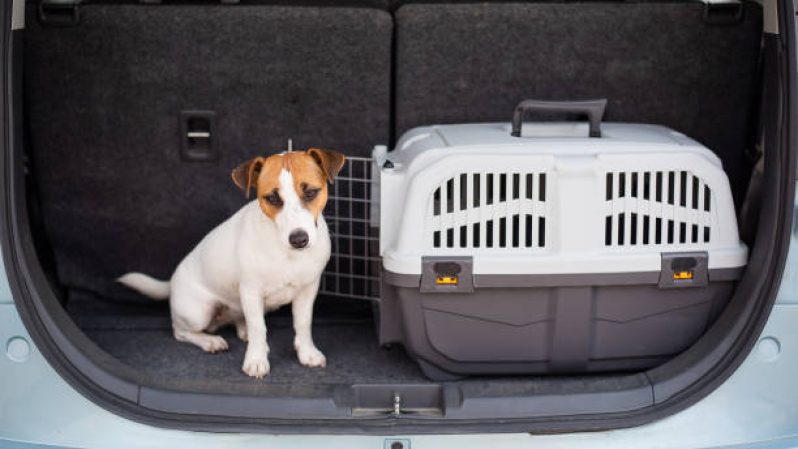 Pet Shop Leva e Traz Estrela - Pet Shop para Cachorros