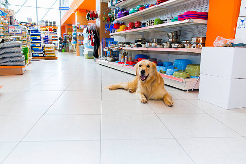 Pet Shop para Cachorros Telefone Colônia - Pet Shop Banho e Tosa Ponta Grossa