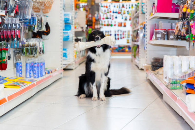 Pet Shop para Cachorros Chapada - Pet Shop Leva e Traz