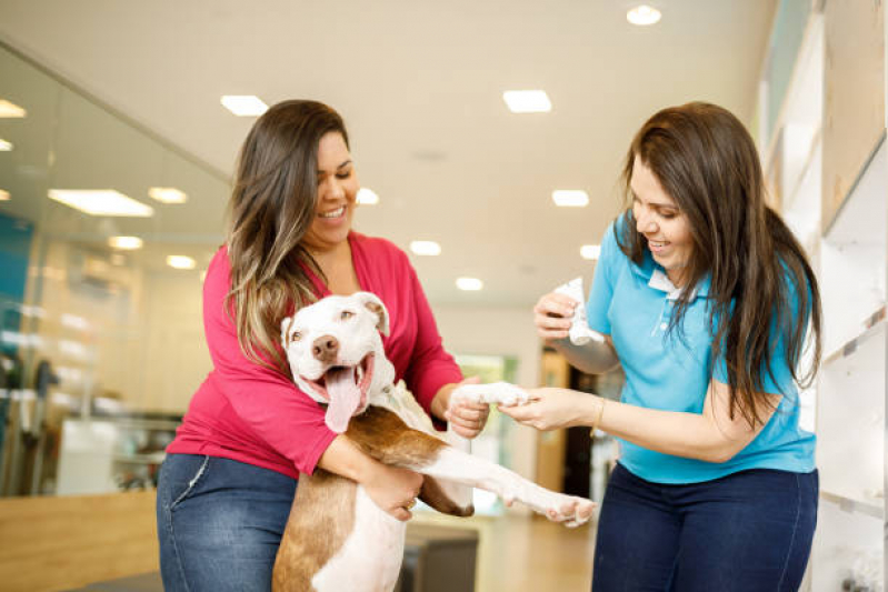 Telefone de Pet Shop Banho Reserva - Pet Shop Próximo