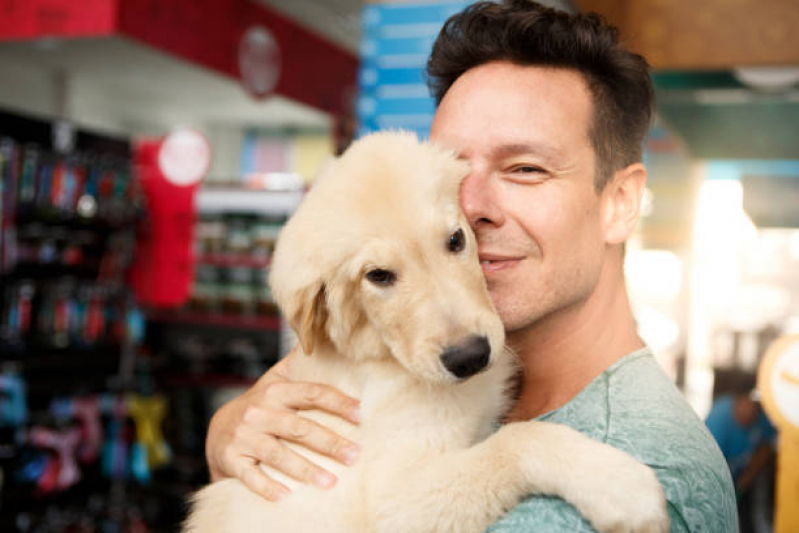 Telefone de Pet Shop Cães e Gatos Castro - Pet Shop para Cachorros