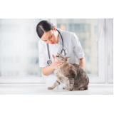 clínica especializada em dermatologista para gatas Palmar