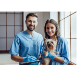clínica veterinária para cachorro telefone Ronda