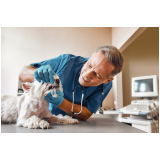 clínica veterinária para cães telefone Biscaia