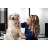 consulta veterinária para animais de estimação agendar Contorno