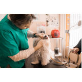 contato de clínica com atendimento veterinário Colonia Dona Luzia