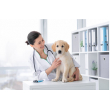 contato de clínica veterinária para cães e gatos Taquaruçu