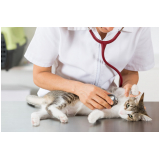 contato de clínica veterinária para gato Itaiacoca