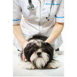 endereço de clínica com atendimento veterinário Órfãs