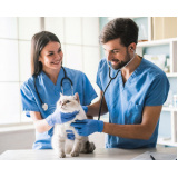 endereço de clínica de gato 24 horas Telêmaco Borba