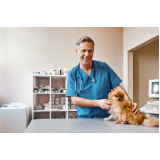 endereço de clínica veterinária para cães e gatos São Brás