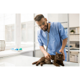 endereço de clínica veterinária para cães Catanduvas de Dentro