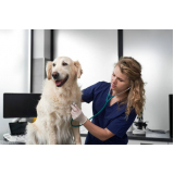 onde agendar consulta veterinária para animais de estimação Sete Saltos