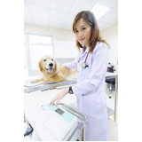onde agendar consulta veterinária Colonia Dona Luzia