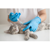 onde faz aplicação de vacina em gatos Lontrão