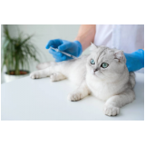 onde faz aplicação de vacina v5 para gatos Piraí do Sul