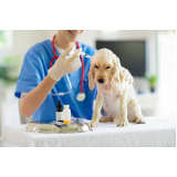 onde marcar consulta veterinária cachorro Taquaia