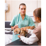onde marcar consulta veterinária dermatológica para cachorro Oficinas