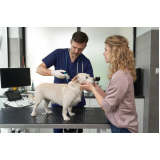 onde marcar consulta veterinária para animais de estimação Oficinas